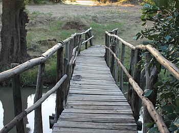 Little Vundu Camp: Walkway Little Vundu Camp: Walkway
