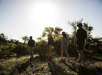 Marataba Safari Lodge: Walking Safari in der Abendsonne