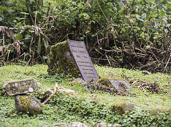 Volcanoes Virunga Lodge: Grab von Diane Fossey auf dem Gorilla-Friedhof Volcanoes Virunga Lodge: Grab von Diane Fossey auf dem Gorilla-Friedhof