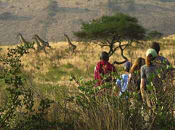 Campi ya Kanzi Lodge: Safari zu Fuß Campi ya Kanzi Lodge: Safari zu Fuß