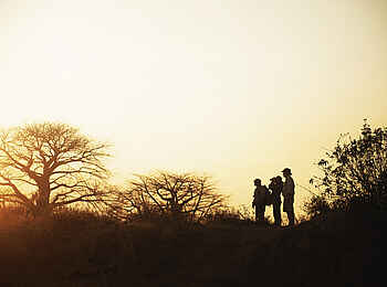 Charlie Ruaha Safari Camp: Sonnenuntergang