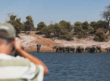 Chobe Princess: Tolle Fotomotive Chobe Princess: Tolle Fotomotive