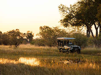 Duba Explorers Camp: Auf Pirschfahrt