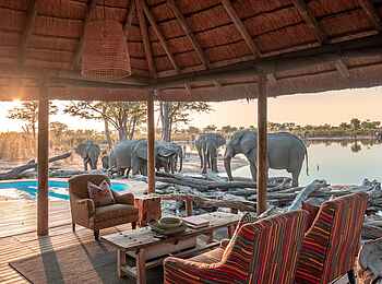 Elephant Pan Camp: Blick von der Terrasse Elephant Pan Camp: Blick von der Terrasse