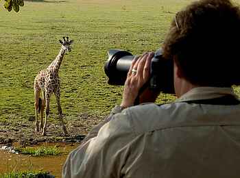 Kafunta River Lodge: Giraffenophotograph