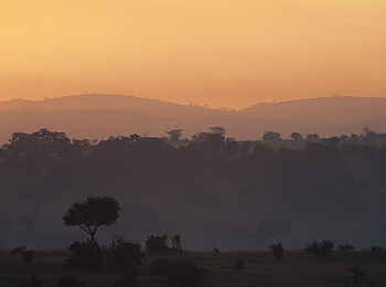 Lamai Serengeti: Landschaft im Abendlicht Lamai Serengeti: Landschaft im Abendlicht