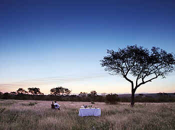 Londolozi Tree Camp: Pause auf der Pirschfahrt
