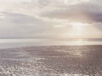 LUX Marijani: Das Meer bei Ebbe