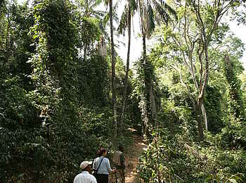 Mbali Mbali Gombe Lodge: Unterwegs