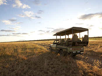 Oliver's Camp: Safarifahrzeug Oliver's Camp: Safarifahrzeug