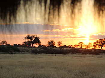 Red Dunes Lodge: Blick zum Wasserloch