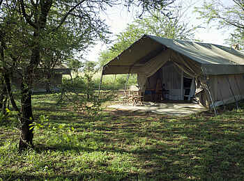 Ronjo Camp: Gästezelt im Schatten