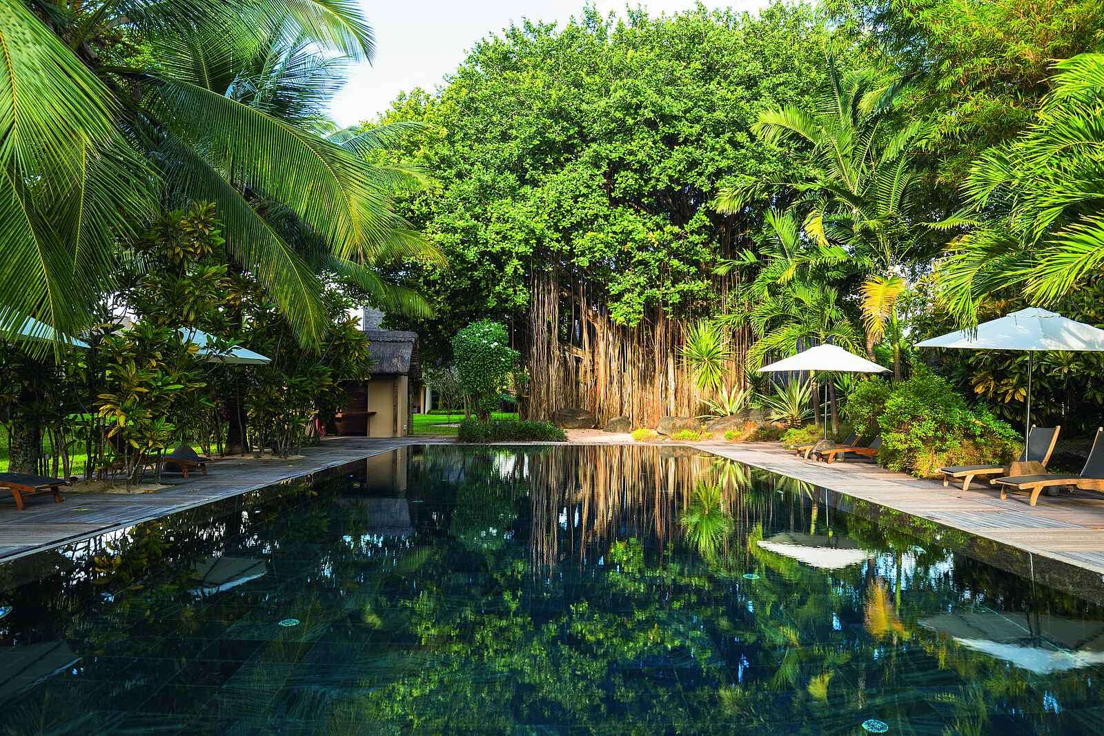 Trou Aux Biches Beachcomber Golf Resort & Spa: Poolbereich Trou Aux Biches Beachcomber Golf Resort & Spa: Poolbereich