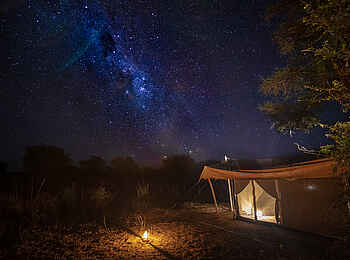 Chula Island Flycamp: Sternenhimmel über dem Camp Chula Island Flycamp: Sternenhimmel über dem Camp