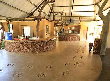 Kavinga Safari Camp: Löwenspuren durch den Eingangsbereich Kavinga Safari Camp: Löwenspuren durch den Eingangsbereich