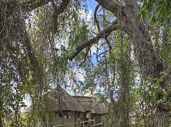Lion Camp: Gästeunterkunft