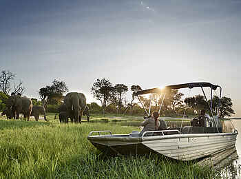 Sanctuary Chobe Chilwero: Elefantenherde am Fluß Sanctuary Chobe Chilwero: Elefantenherde am Fluß