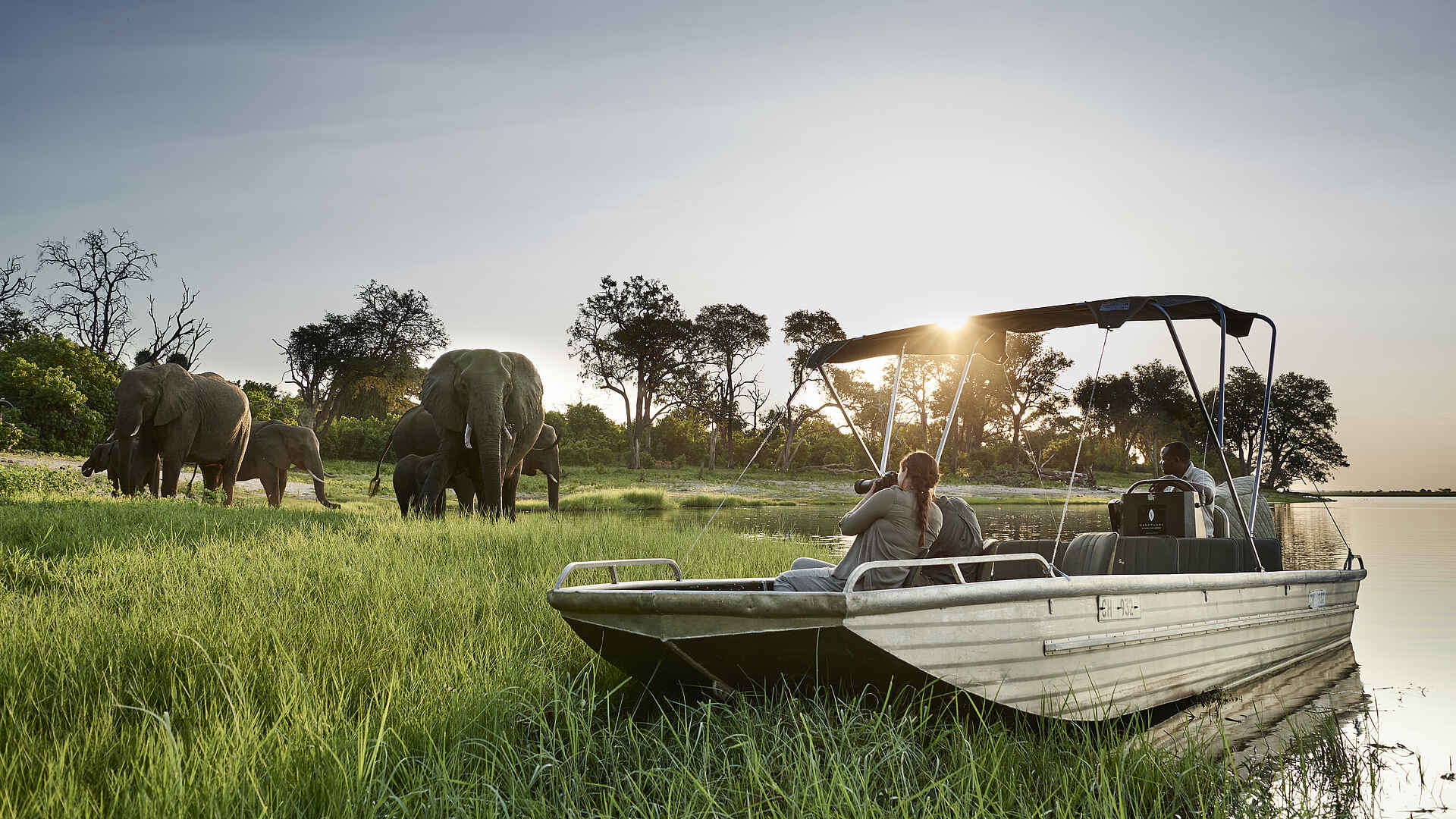 Sanctuary Chobe Chilwero: Elefantenherde am Fluß