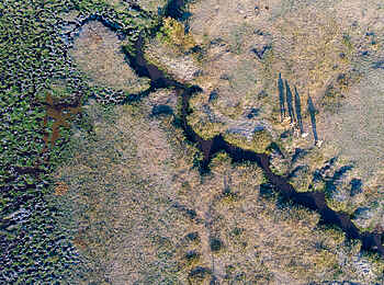 Takwela Camp: Schatten von Gästen am Mbowe Stream Takwela Camp: Schatten von Gästen am Mbowe Stream