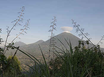 Volcanoes Virunga Lodge: Mt. Muhabura im Vordergrund Volcanoes Virunga Lodge: Mt. Muhabura im Vordergrund