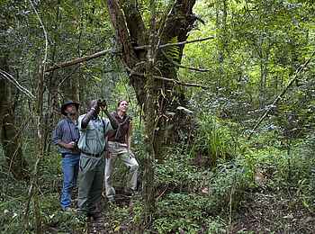 Chelinda Lodge: Vogelbeobachtung