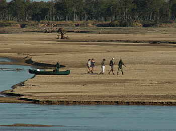 Chikoko Tree Camp: Zu Fuß unterwegs Chikoko Tree Camp: Zu Fuß unterwegs