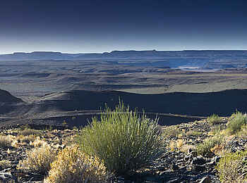 Fish River Lodge: Gewächse in der Wüste