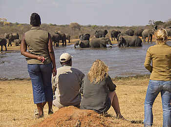 Ivory Lodge: Elefanten am Wasserloch Ivory Lodge: Elefanten am Wasserloch