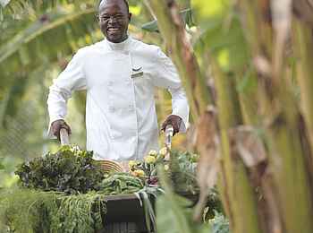 Klein's Camp: Shamba