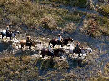 Macatoo Camp: Überschwemmte Wiese