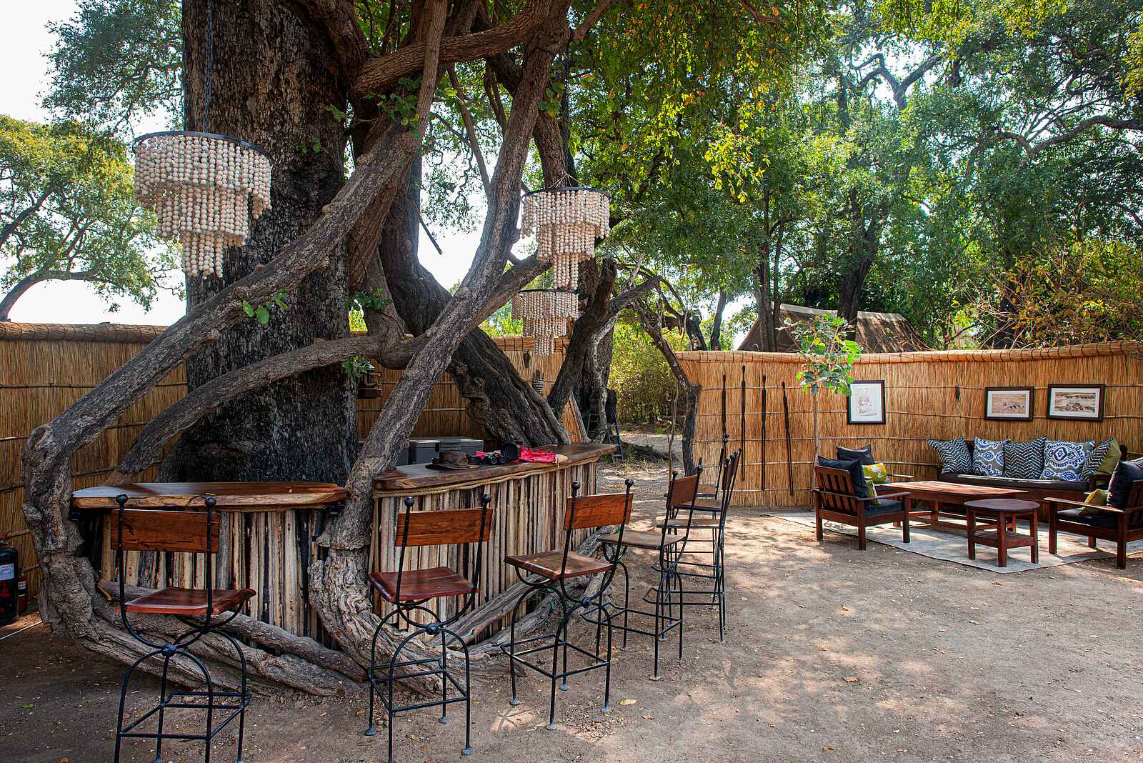 Mwamba Bush Camp: Bar Mwamba Bush Camp: Bar