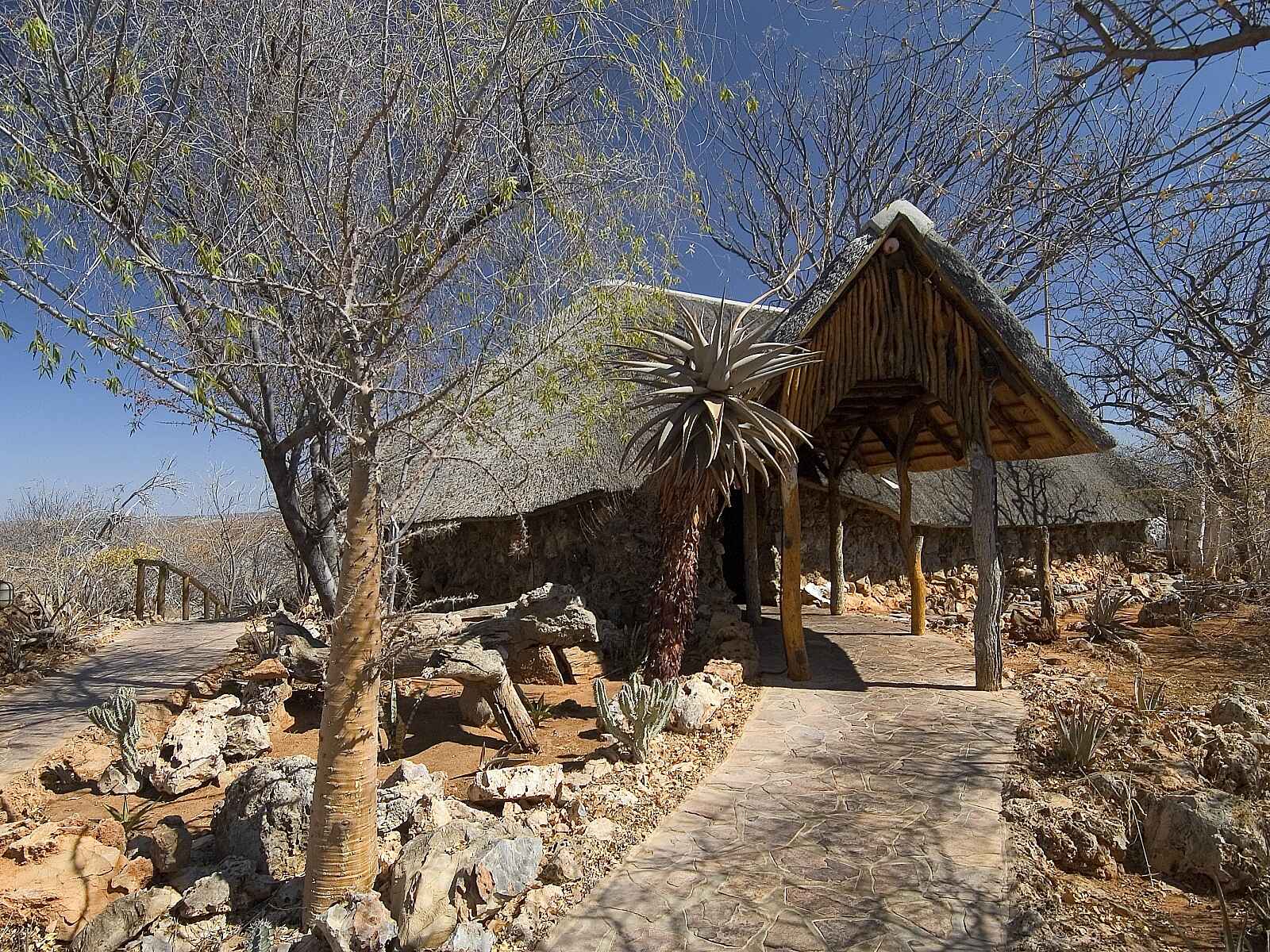 Ongava Lodge: Empfangsbereich Ongava Lodge: Empfangsbereich