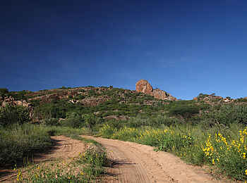 Saruni Samburu: Kalama Conservancy