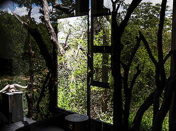 Simbavati River Lodge: Aussicht ins Freie