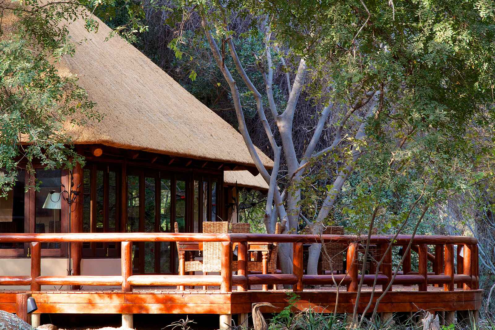 Tuli Safari Lodge Mashatu: Classic Suite Tuli Safari Lodge Mashatu: Classic Suite