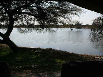 Edo's Camp: Blick aus Chalet 6 Edo's Camp: Blick aus Chalet 6