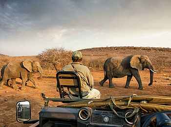 Impodimo Game Lodge: Elefanten Impodimo Game Lodge: Elefanten