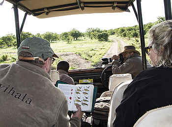 Kwihala Camp: Fotosafari