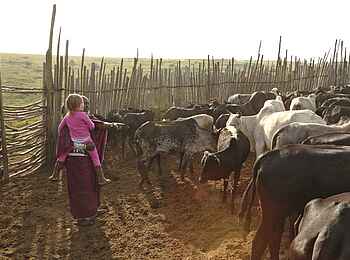 The Highlands Camp: In der Boma eines Massai-Dorfes