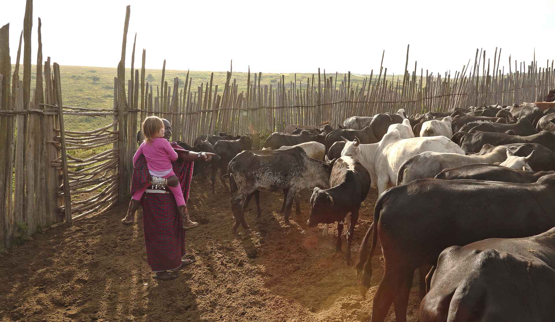 The Highlands Camp: In der Boma eines Massai-Dorfes The Highlands Camp: In der Boma eines Massai-Dorfes