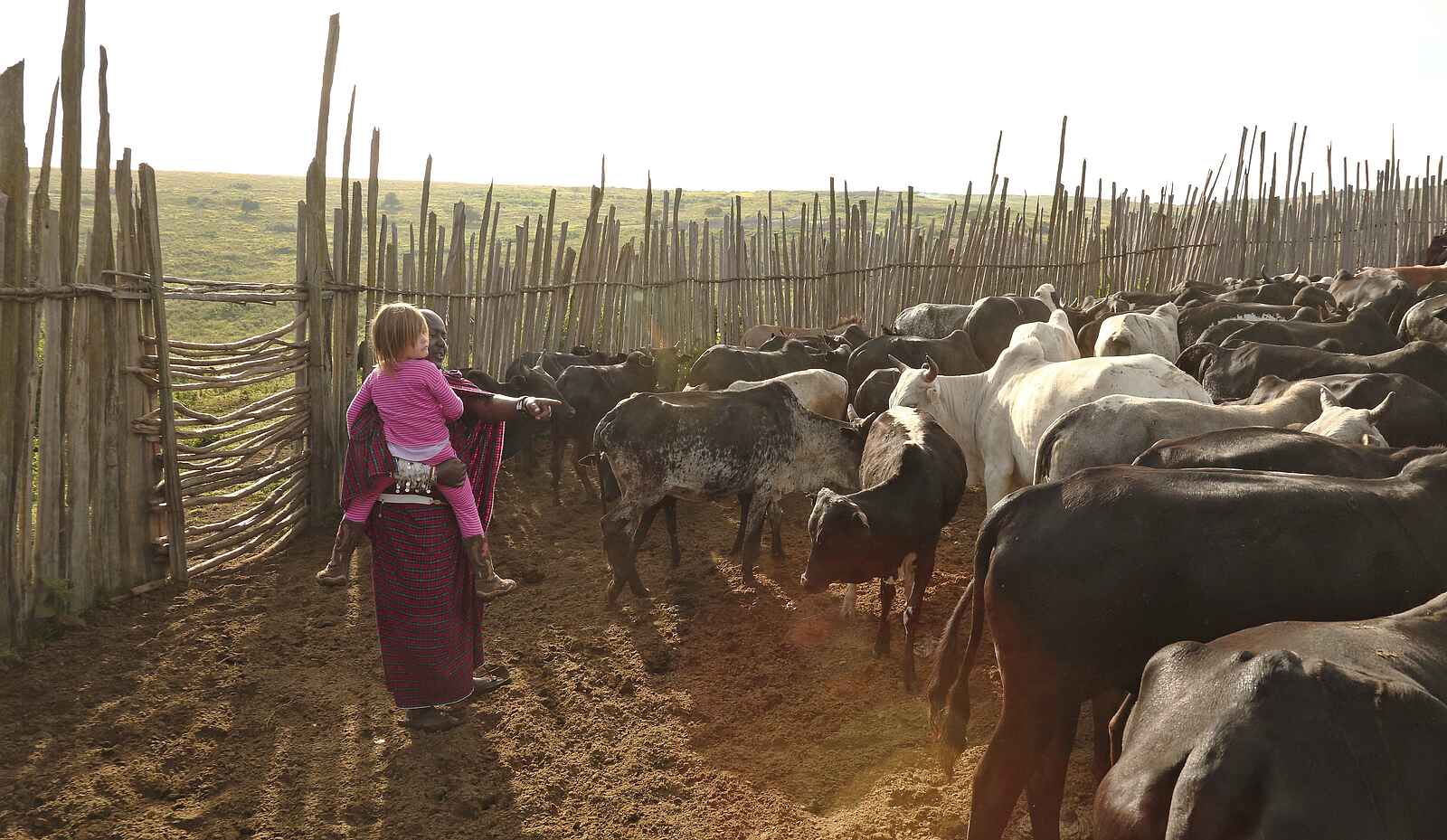 The Highlands Camp: In der Boma eines Massai-Dorfes The Highlands Camp: In der Boma eines Massai-Dorfes