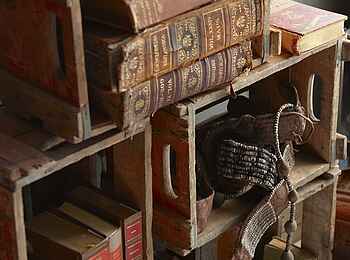 The Olive Exclusive: Buchregal