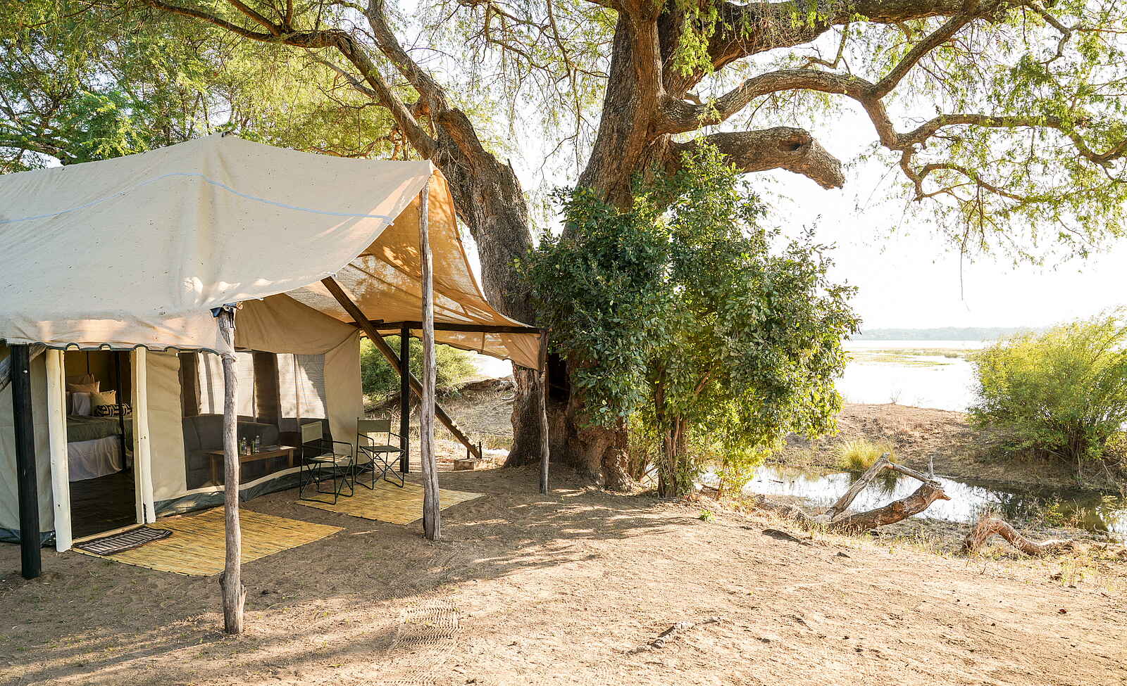 Little Vundu Camp: Zugang zu einem Gästezelt Little Vundu Camp: Zugang zu einem Gästezelt