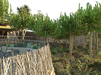 Mashatu Euphorbia Villas: Ausguck