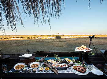 Selinda Camp: Buffet