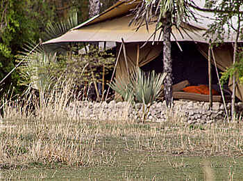 Chem Chem Lodge: Leopard vor der Lodge Chem Chem Lodge: Leopard vor der Lodge