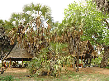 Lake Manze Camp: Lage unter Bäumen Lake Manze Camp: Lage unter Bäumen