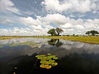 Lianshulu Lodge: Seerosenblätter und Wolken Lianshulu Lodge: Seerosenblätter und Wolken