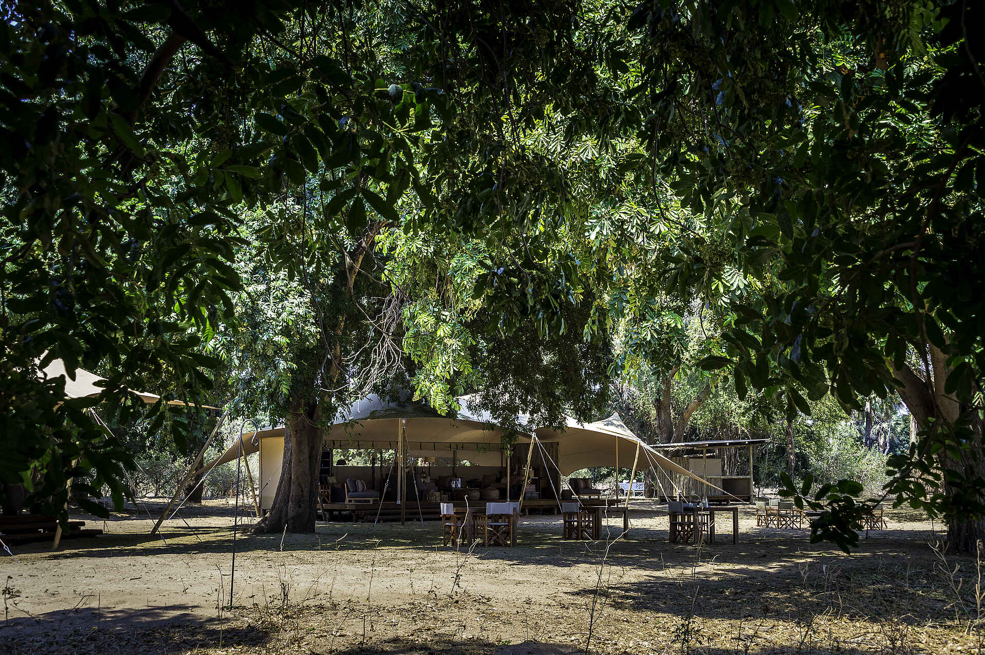 Little Ruckomechi Camp: Hauptzelt unter Bäumen Little Ruckomechi Camp, Mana Pools National Park, Sambesi, Wilderness Safaris, Bäume, Hauptzelt, Afrikarma, Afrikarma Safaris, Afrikarma Safaris - Wildnis. Hautnah., Afrikarma.de