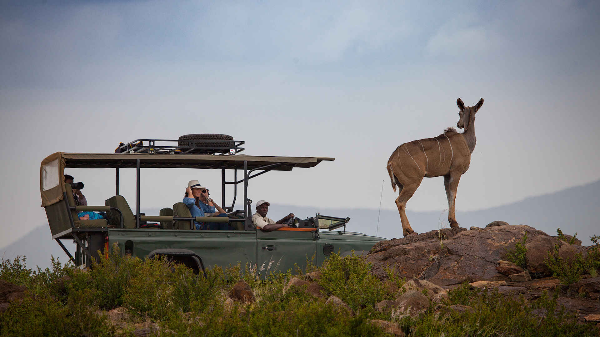 Loisaba Tented Camp: Auf Pirschfahrt